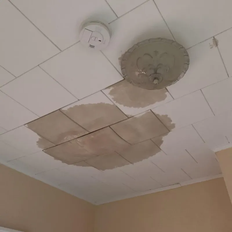 Ceiling Water Damage Repair in Elton, LA