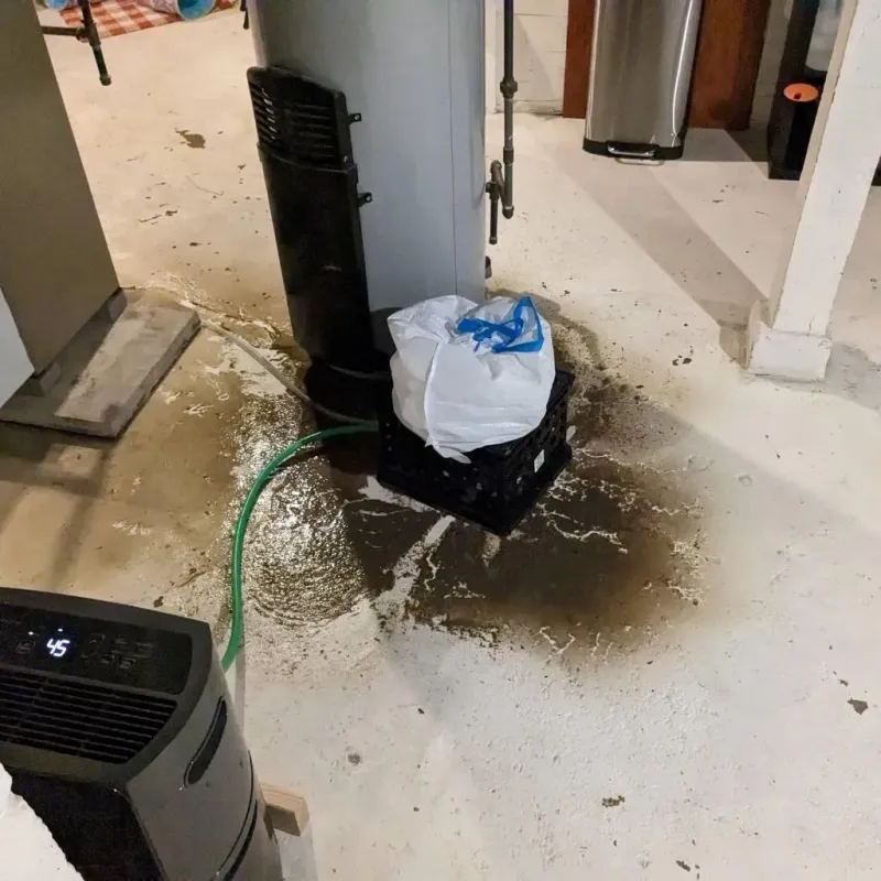 Sewage Backup Cleanup Service in Elton, LA